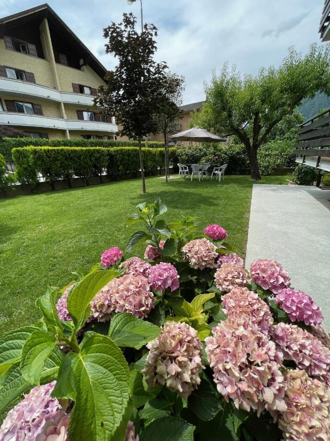 Casa Dolce Casa Apartment ตีราโน ภายนอก รูปภาพ